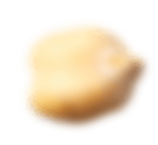 An image of a peanut